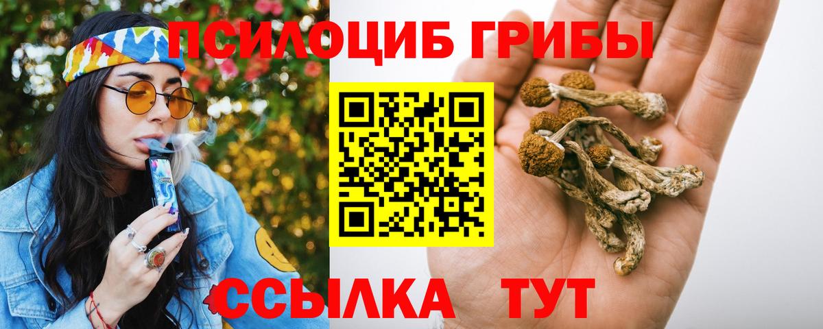 Печора  Галлюциногенные грибы ЛСД  Вход с VPN 